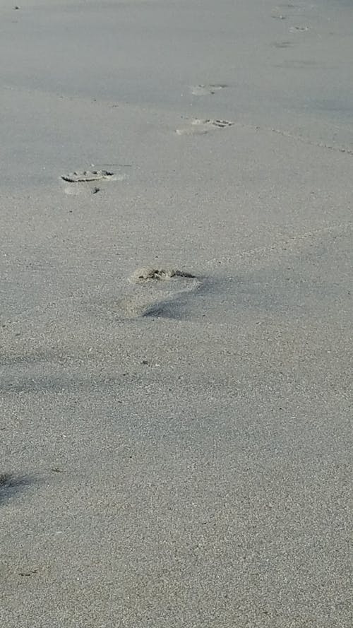 Free stock photo of footprints in sand Stock Photo