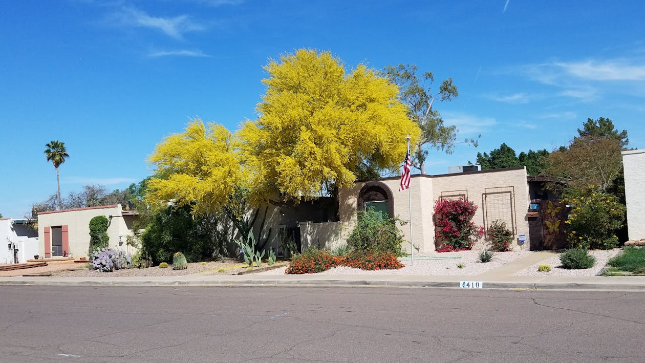 有关凤凰城亚利桑那州的免费素材图片