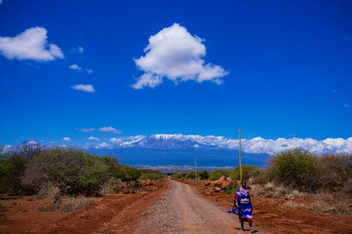 Kostnadsfria Kostnadsfri bild av afrikansk amerikan kvinna, bergen, blå himmel Stock foto