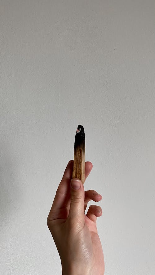 Free A Person Holding a Burnt Piece of Palo Santo Stock Photo