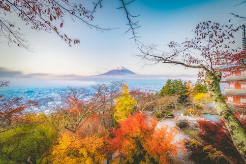 Birds Eye View of Japan with a View of Mt. Fuji