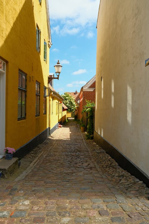 Free A Cobblestone Street in Ribe, Denmark Stock Photo