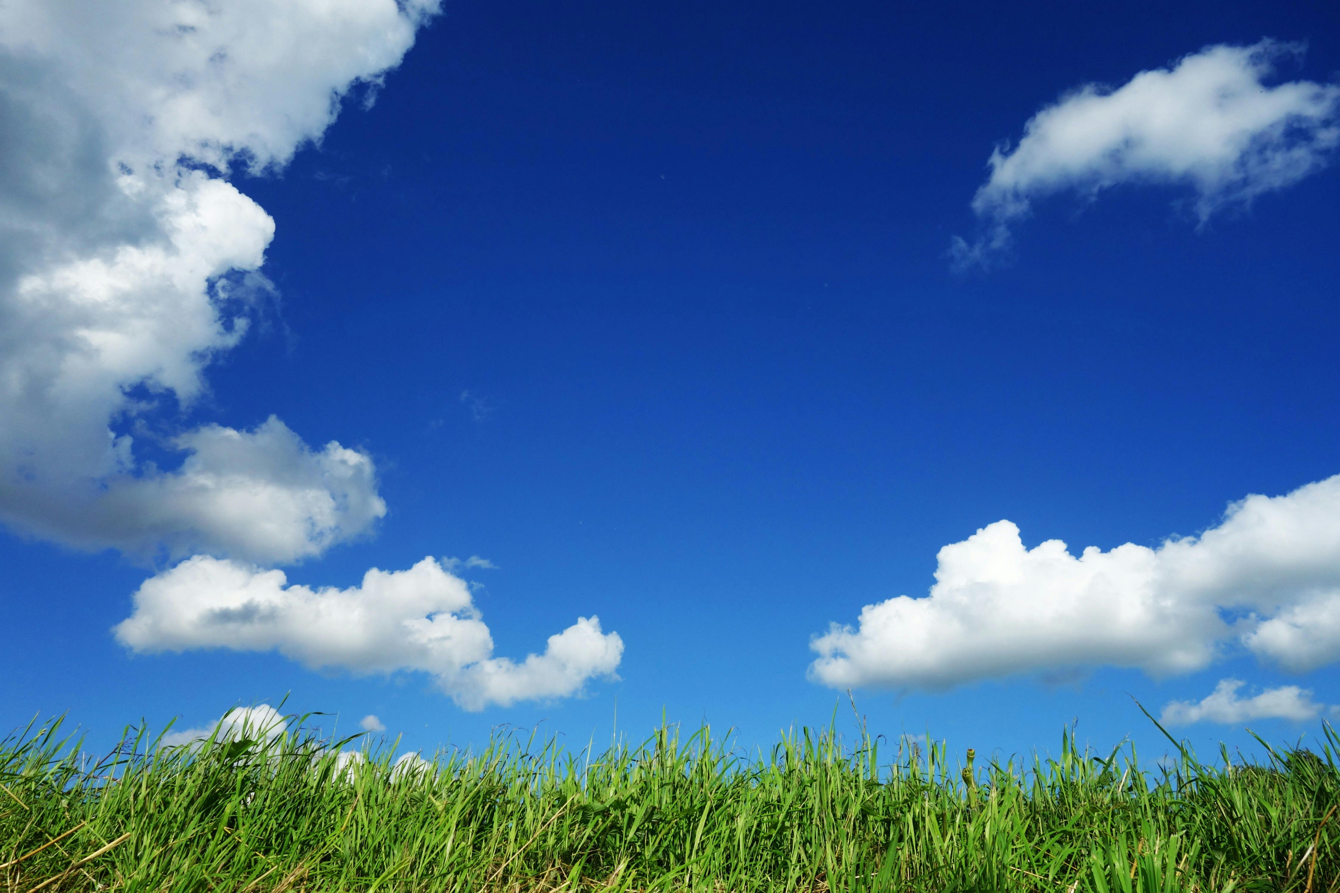 Grass Field Under Cloudy Sky · Free Stock Photo