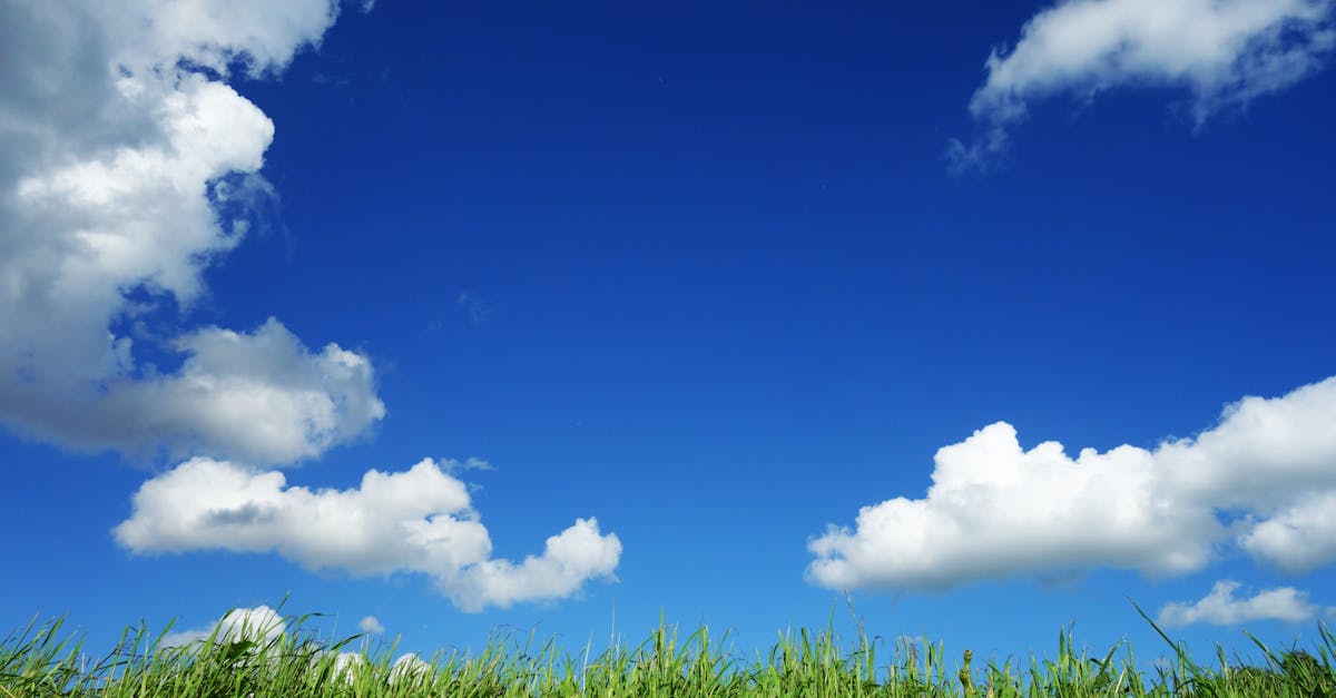 Free stock photo of blue sky, bright, clouds