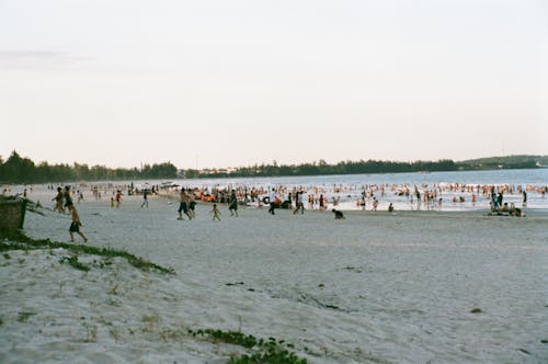Group of People Swimming at the Beach 