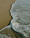 Sea Waves Crashing on Shore