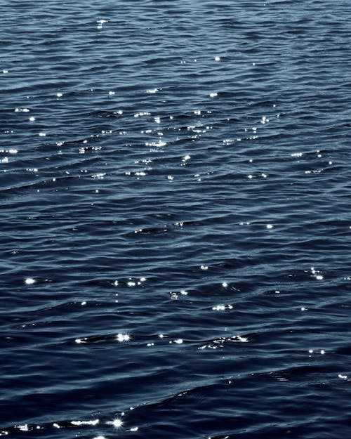 바다, 블루, 수역의 무료 스톡 사진