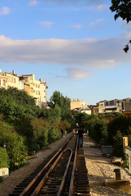 Kostenloses Stock Foto zu gebüsch, spur straße, vertikaler schuss