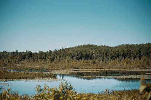 Základová fotografie zdarma na téma fotografie přírody, jezero, krajina