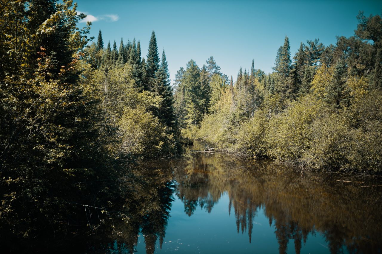 serene lake surrounded by lush green forest reflecting the sky and tre