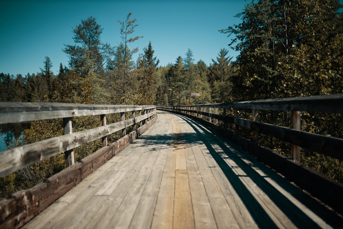 Wooden Bridge Near Green Trees 