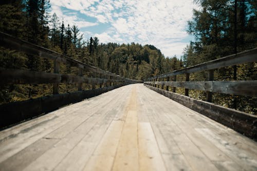 Free Wooden Walkway in the Woods Under a Cloudy Blue Sky Stock Photo