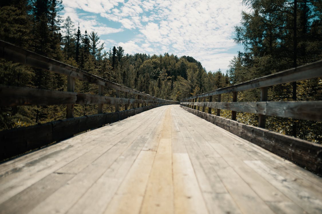 Wooden Walkway in the Woods Under a Cloudy Blue Sky