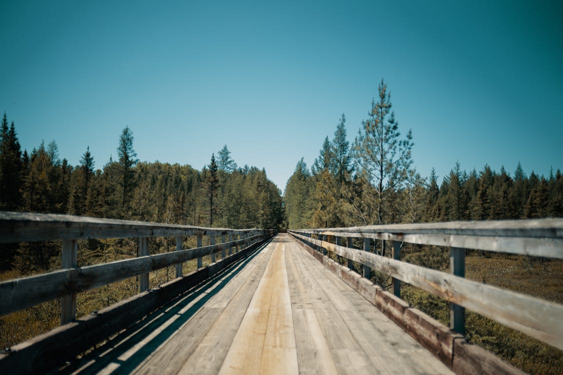 A Wooden Bridge Between Green Trees Under the Blue Sky