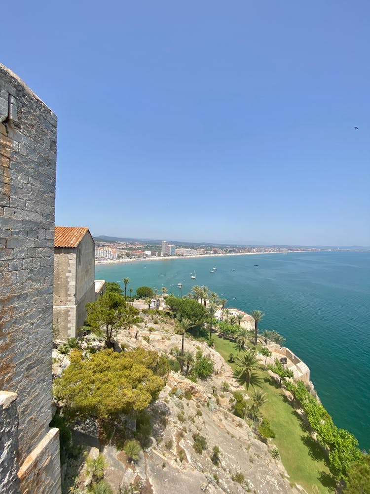 Cliff Overlooking Sea In Summer