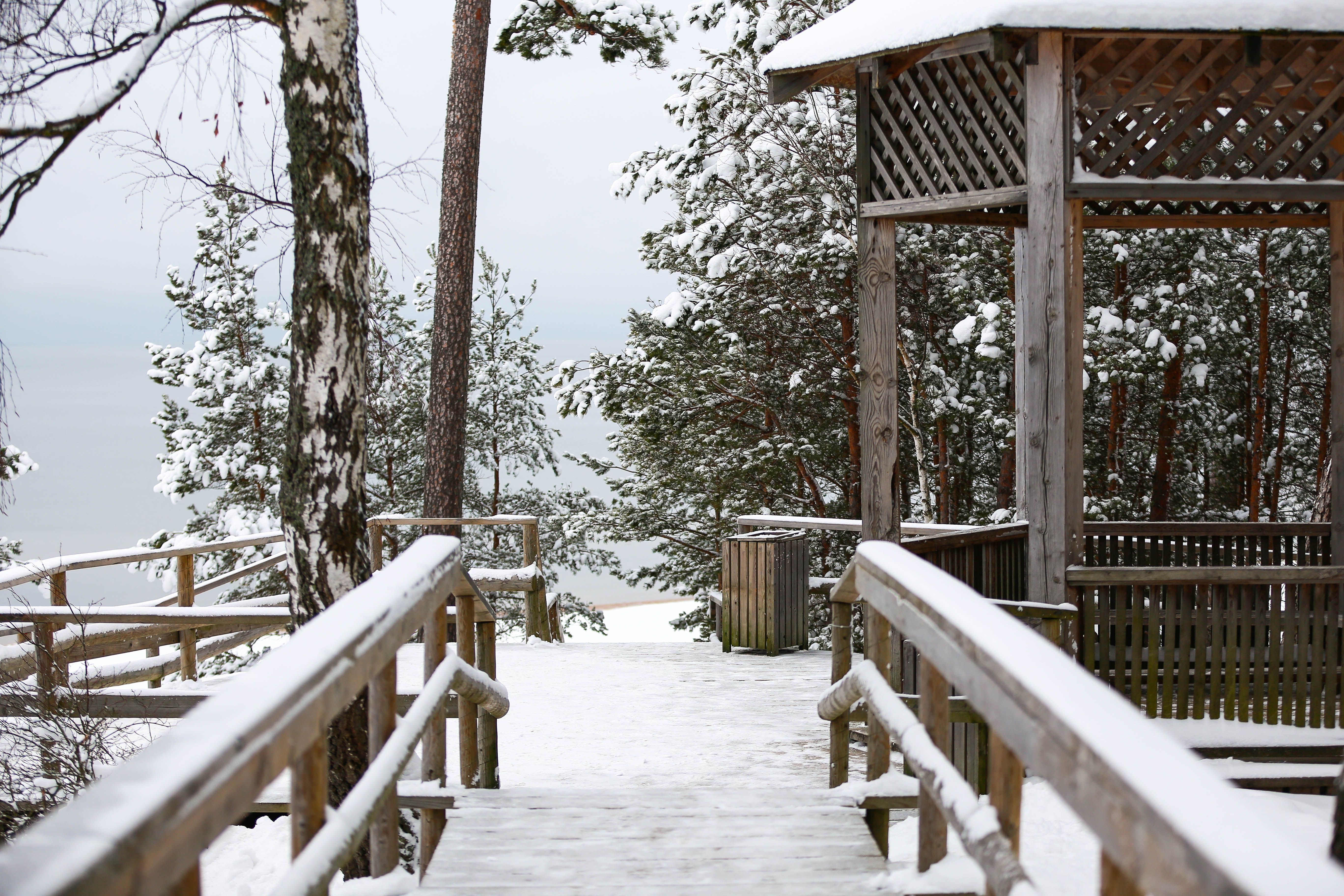 Wooden Bridge and Railings Covered with Thick Snow · Free Stock Photo