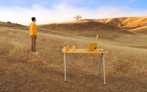 Software Developer in Silicon Valley