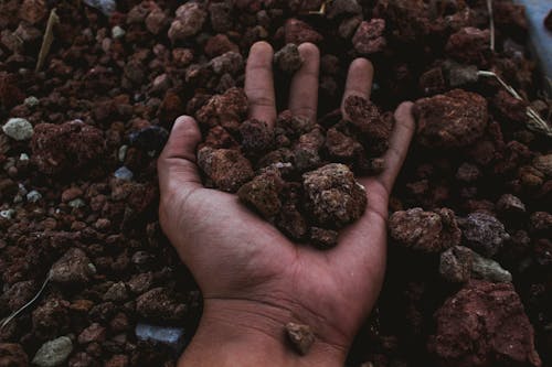 Person With His Hand Filled With Rocks