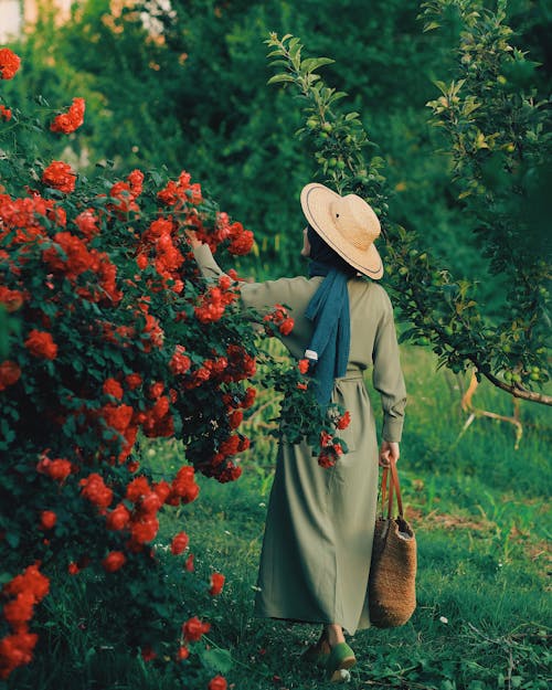 赤いバラでいっぱいのブッシュによる麦わら帽子と緑のドレスを着た女性