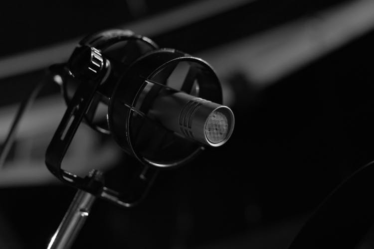 Monochrome Photo Of A Mic 