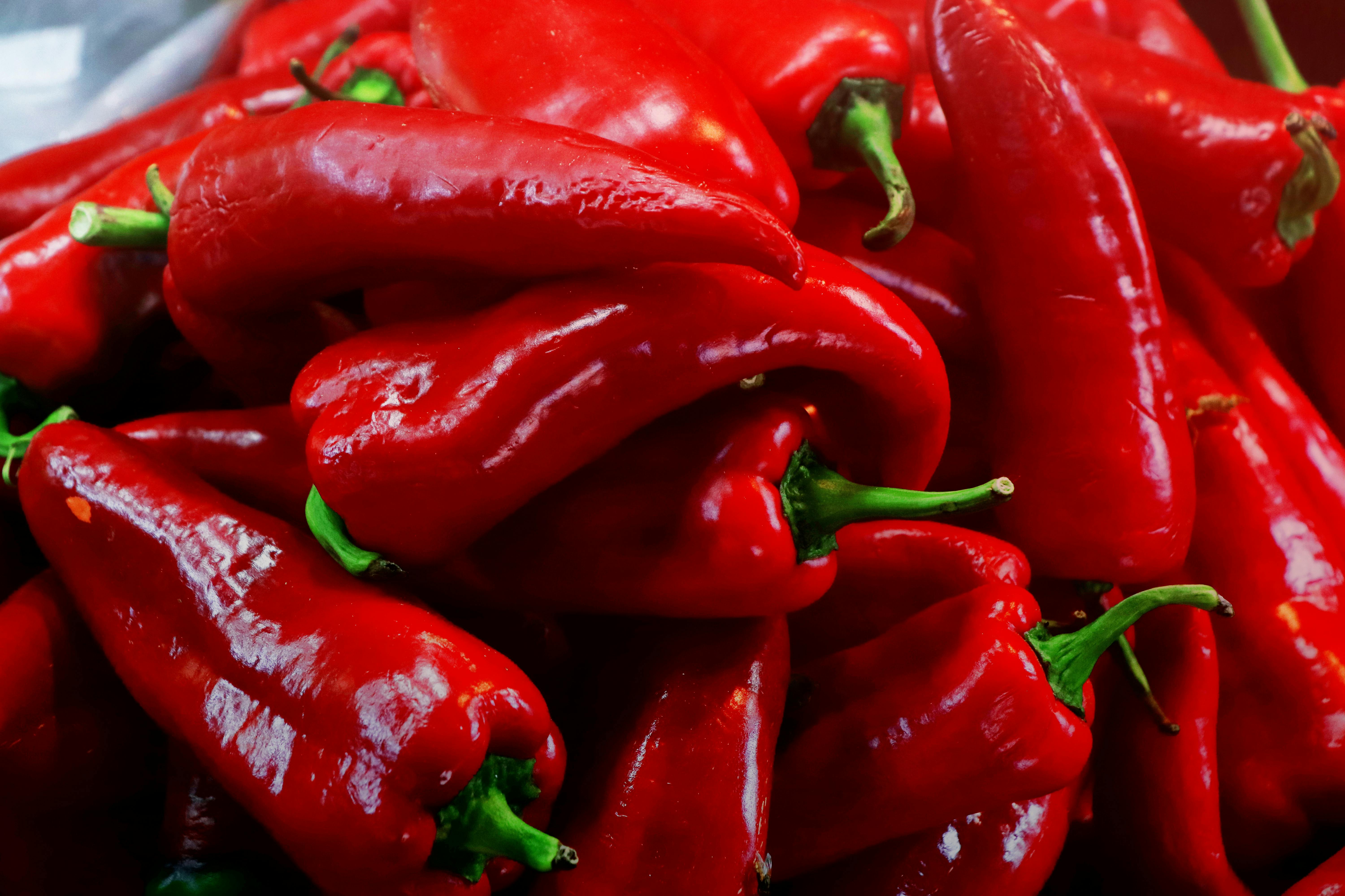 Free stock photo of bell pepper, bell peppers, chili peppers