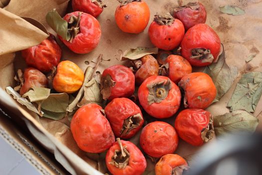 persimmon tannin dyed cloth