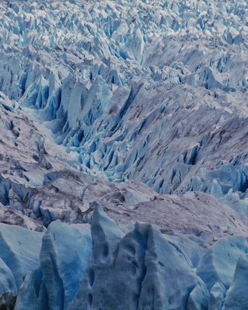 Glacier Argentin