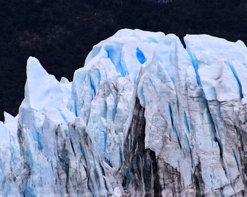 Fotos de stock gratuitas de escarcha, frío, hielo