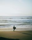 Person Standing on Beach Shore
