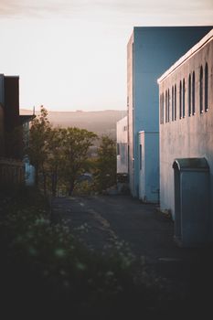 Tranquil alley between buildings at sunset, with lush trees adding natural beauty.