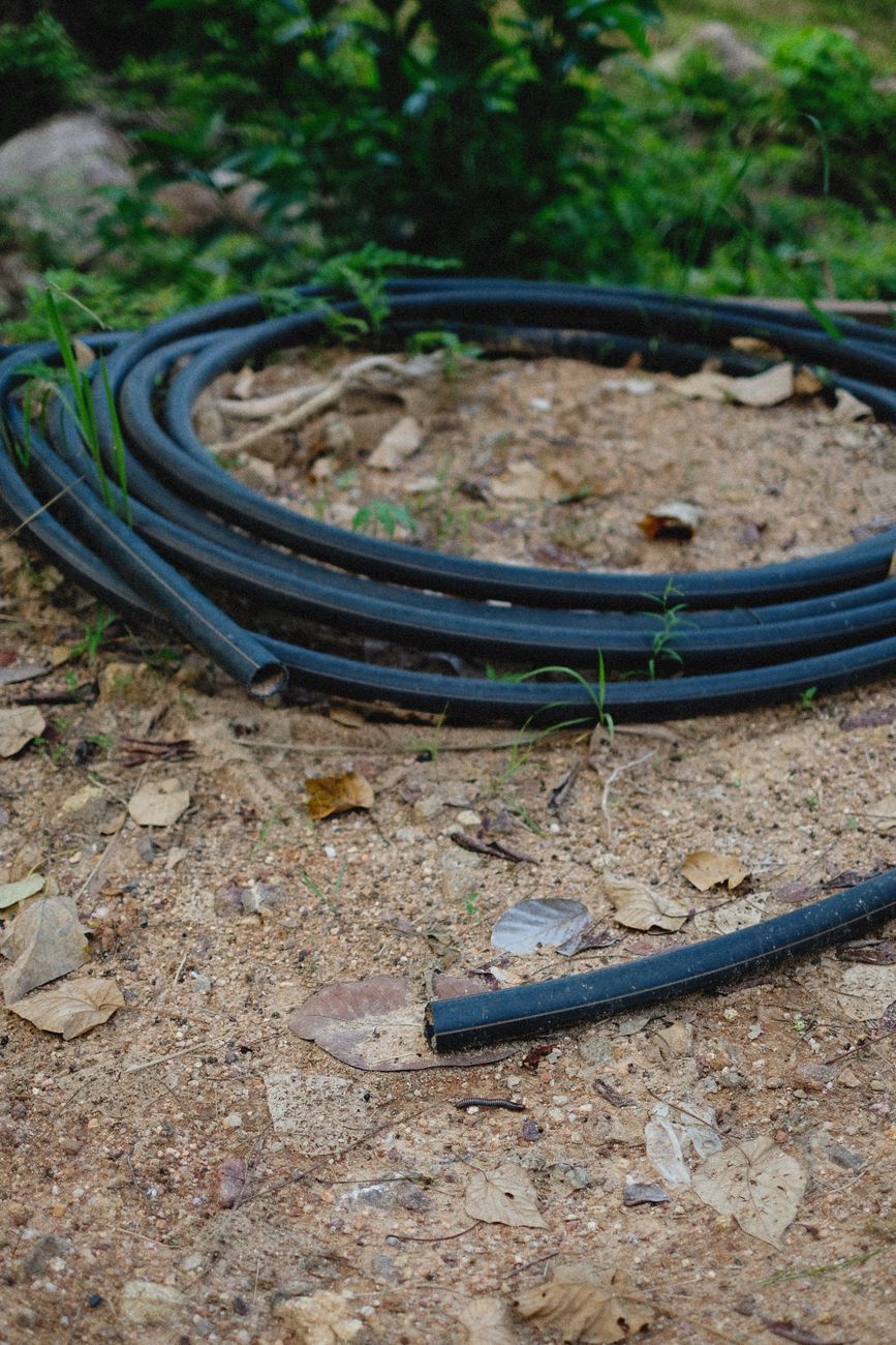 garden hose damaging plants soil compaction UK
