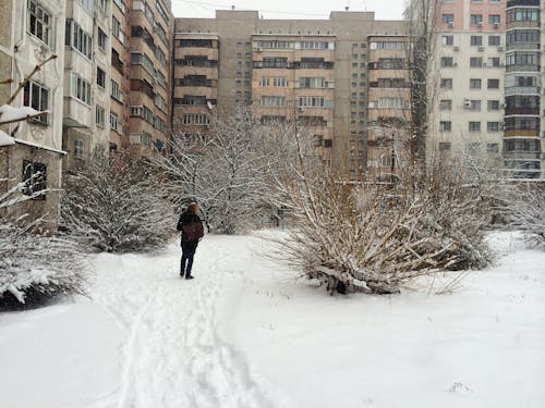 Long Shot of a Person standing on a Snow Covered Ground