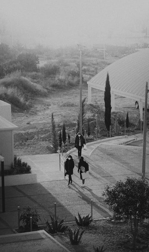 Grayscale Photo of People Walking on the Street