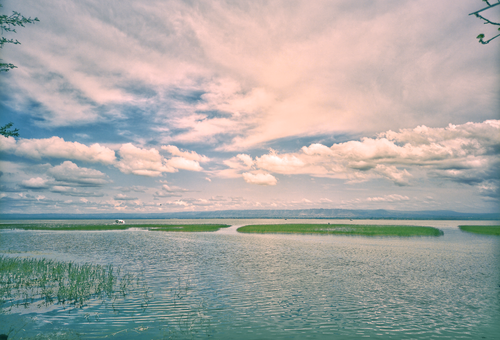 Free A tranquil marshland under a vibrant blue sky with fluffy white clouds, reflecting in the calm water. Stock Photo