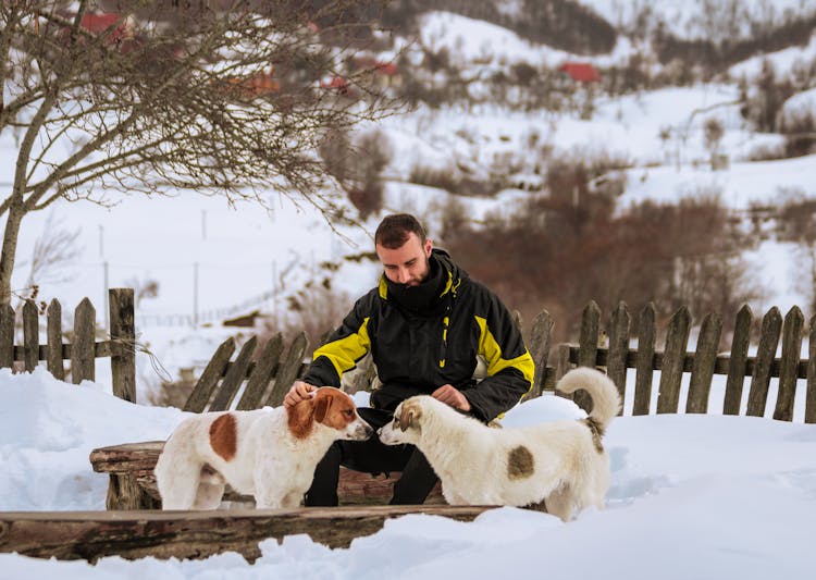 Man Wearing Jacket Petting Dogs