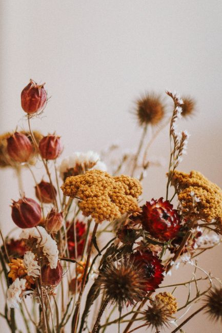 Vibrant bouquet of dried flowers against a white background, showcasing natural beauty.