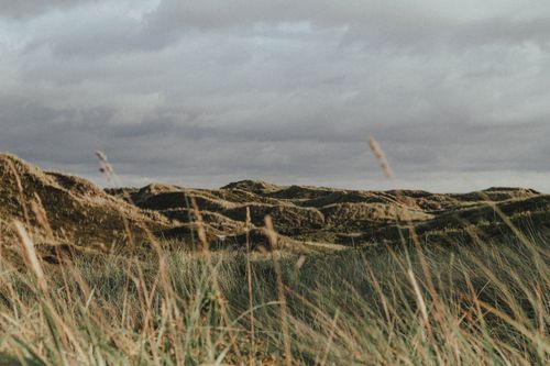 Free Tranquil view of grassy hills under a cloudy sky in Denmark's natural beauty. Stock Photo