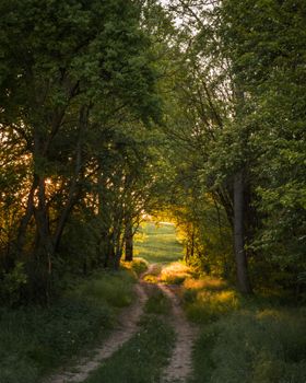 Image by Nikolett Emmert