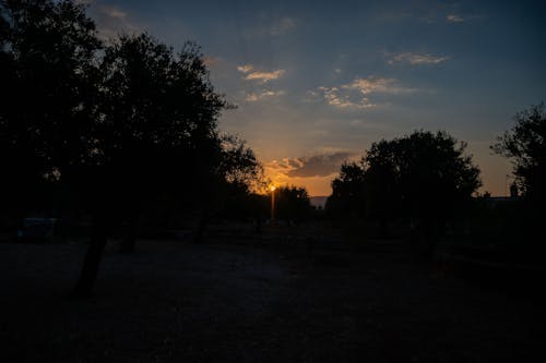 Foto stok gratis itali, langit, matahari terbenam