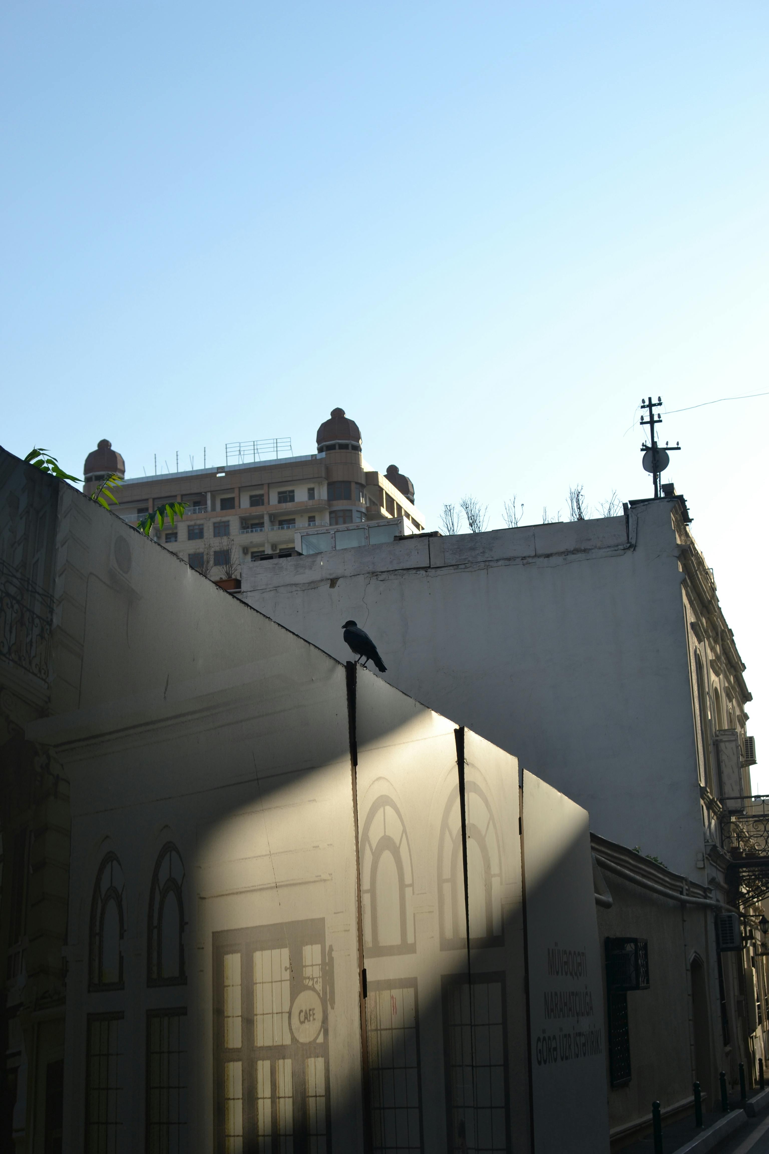 無料 アパート, サンセットシャドウ, シティの無料の写真素材 写真素材