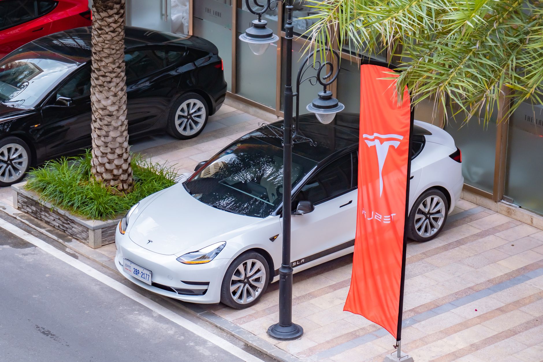 High-angle view of electric cars parked in an urban area, showcasing sleek design and eco-friendly transportation.