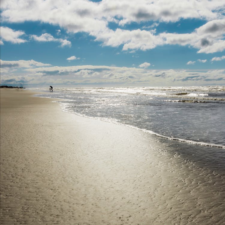 Shore Under Cloudy Sky