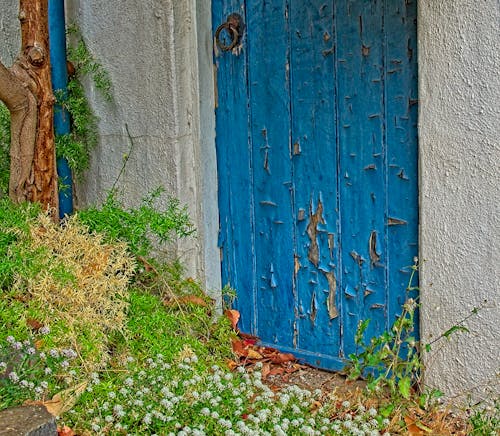Ingyenes stockfotó ház, kék ajtó, 케톨 난핀 츄라 témában