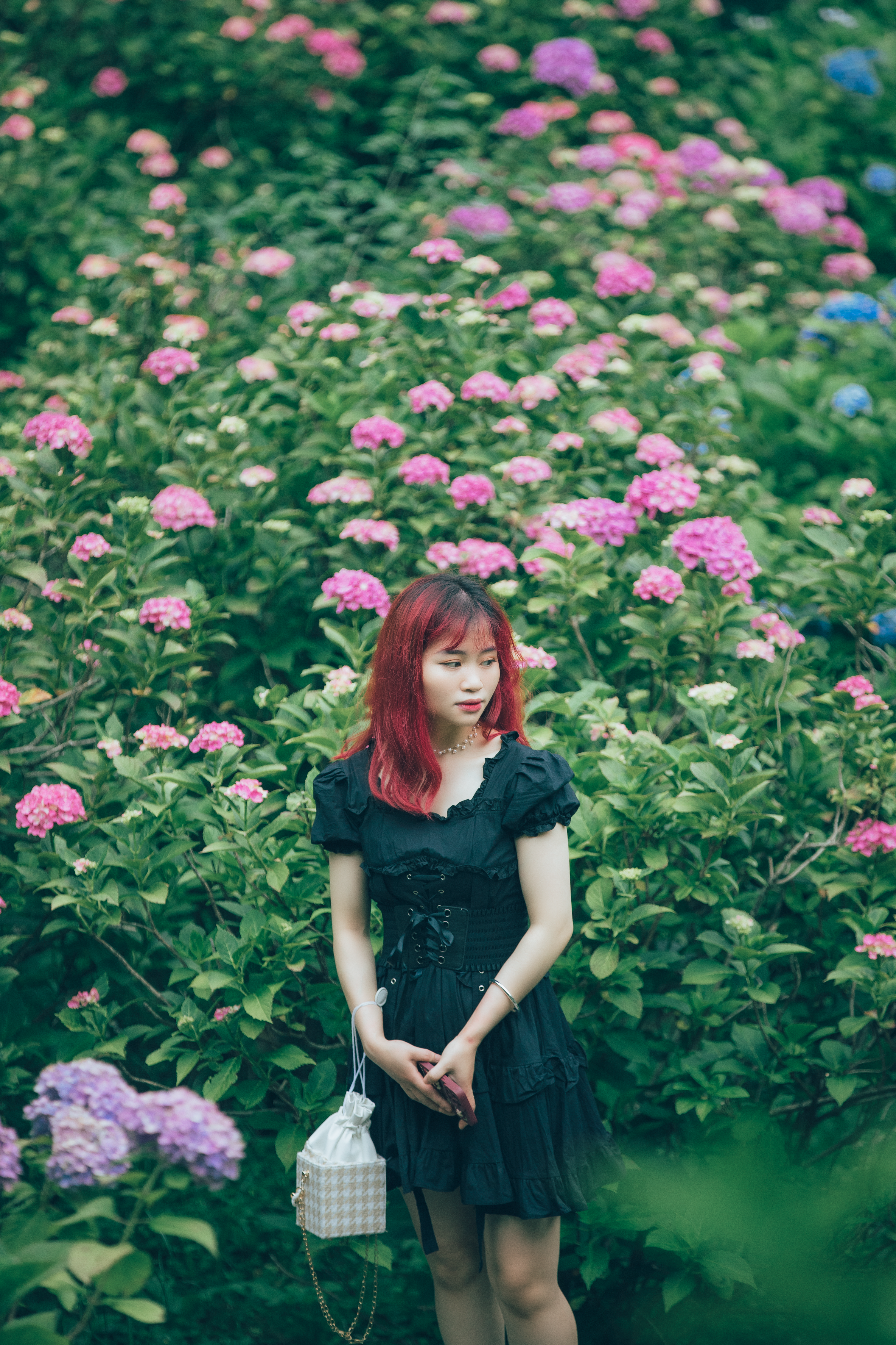 Woman in Black Dress Standing Near Flower Field · Free Stock Photo