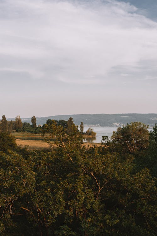 Immagine gratuita di alberi, campagna, campi