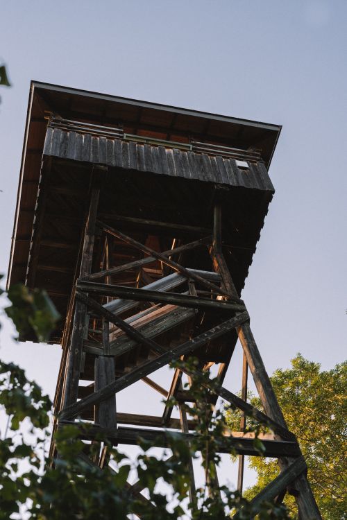 Free A rustic wooden watchtower viewed from below, set against a clear blue sky with surrounding trees. Stock Photo