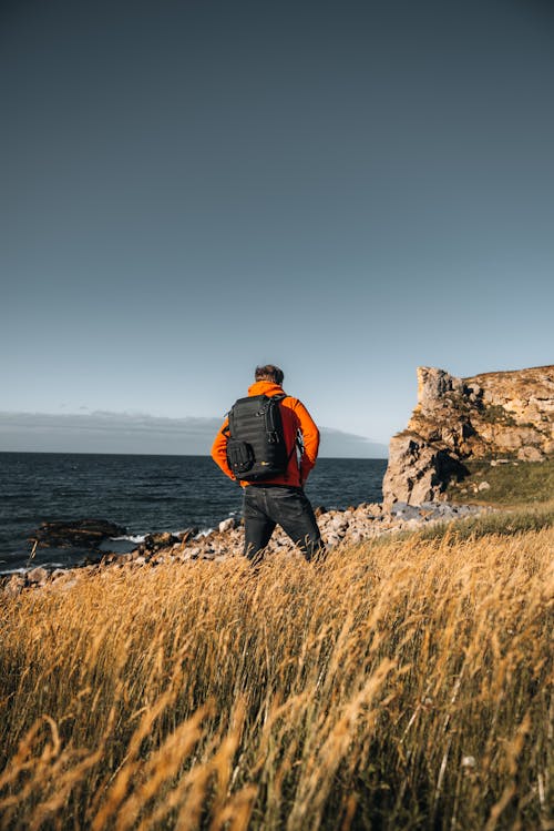 Imagine de stoc gratuită din cer senin, coastă, fotografiere verticală