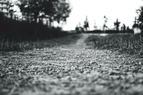 Free stock photo of black and white, road, stones