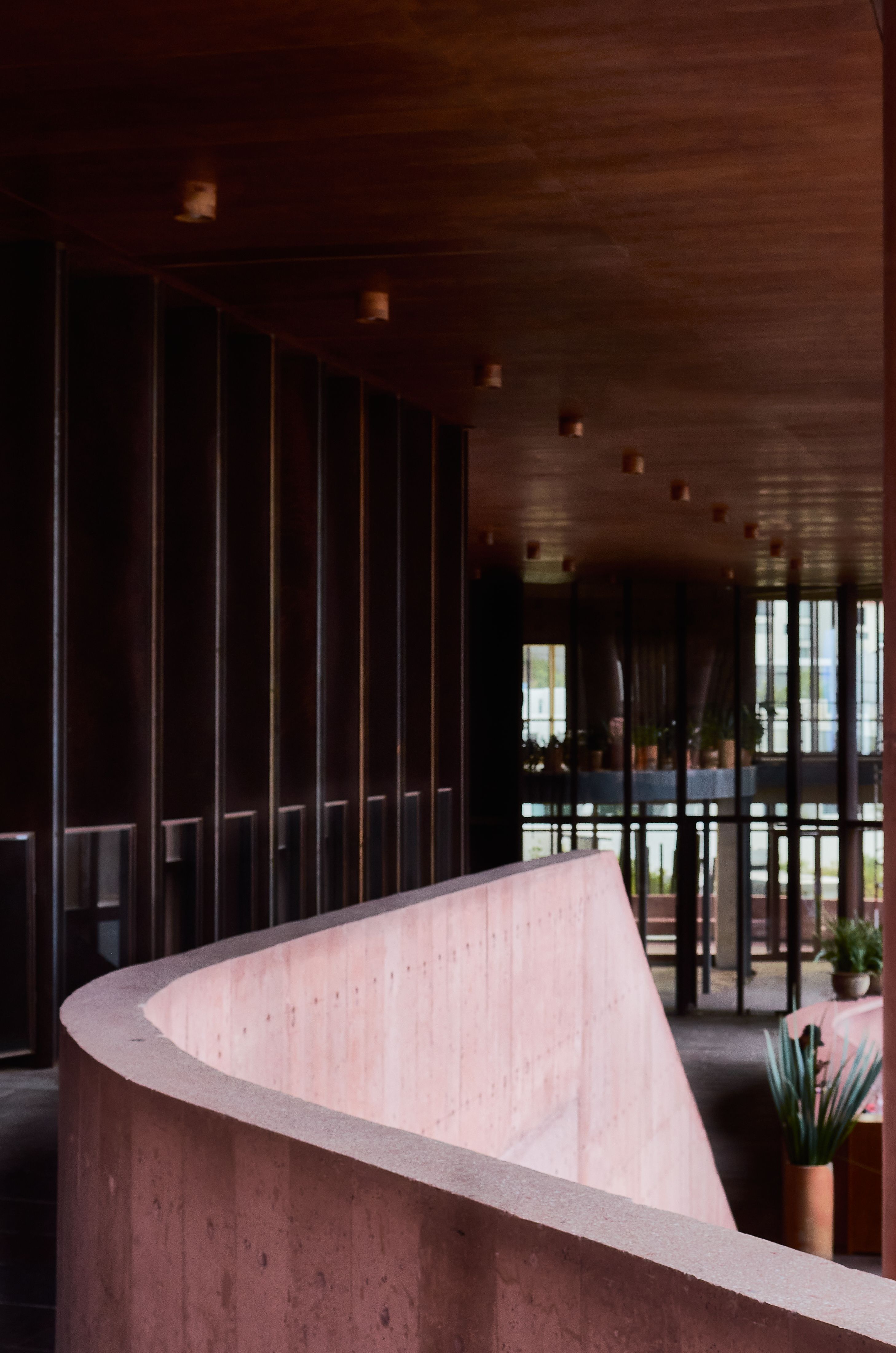 A plant-lined public interior with curved concrete rails and warm light