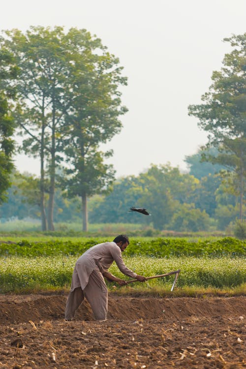 A Farmer Cultivating Soil 